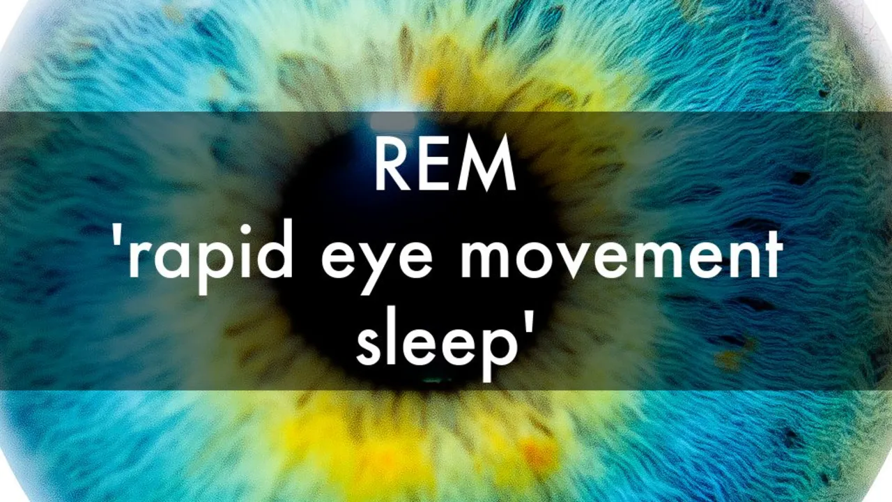 The Connection Between Rapid Eye Movement and Dreaming
