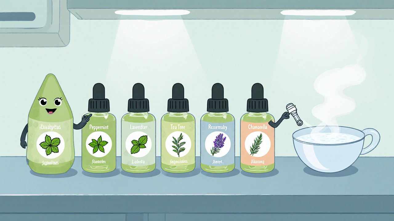 Rounded‑style display of six essential‑oil bottles with plant icons and a droplet character showing steam inhalation.