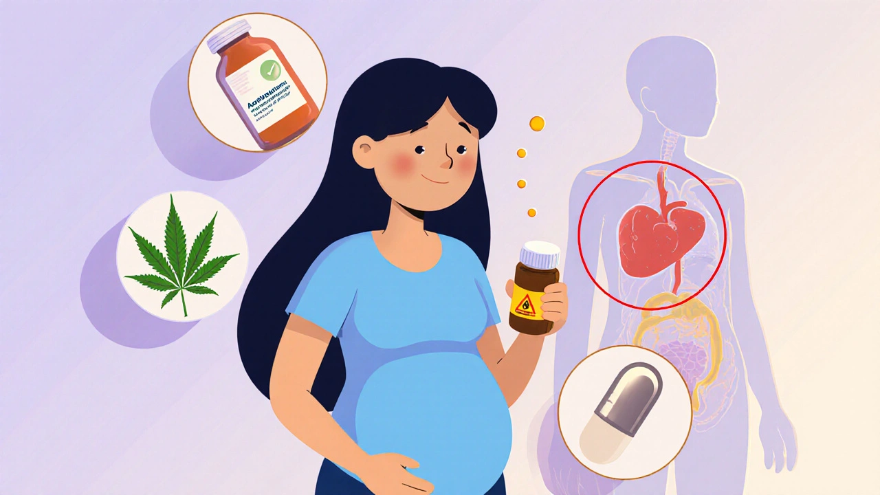 Pregnancy and Medications: What You Need to Know About Teratogenic Risks and Birth Defects