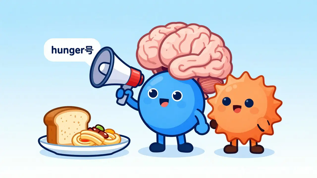 Cute cartoon molecules causing carb cravings in the brain